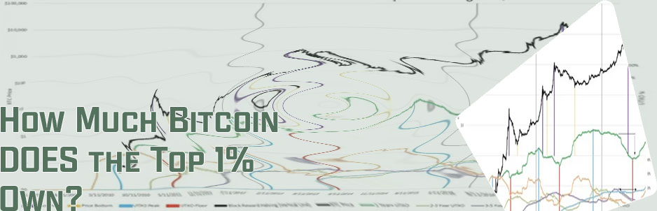 Bitcoin one percent all circulating study