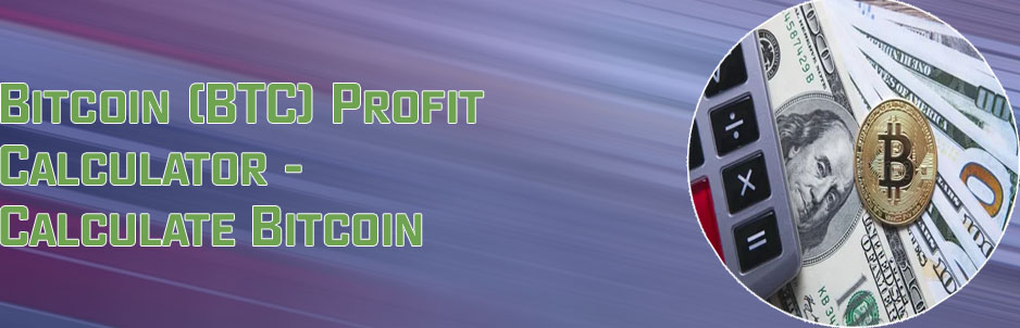 Bitcoin usd calculator
