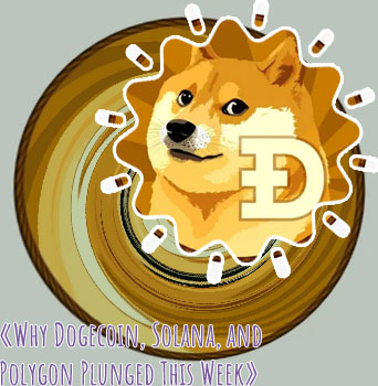 Does public have dogecoin