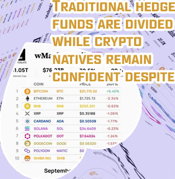 Large cap crypto