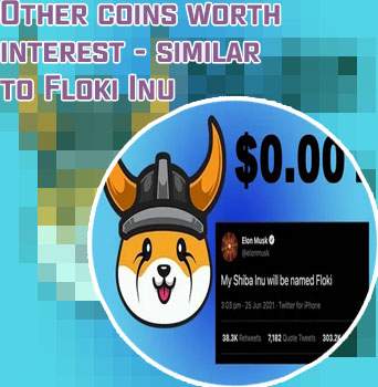 Where can i buy floki inu crypto